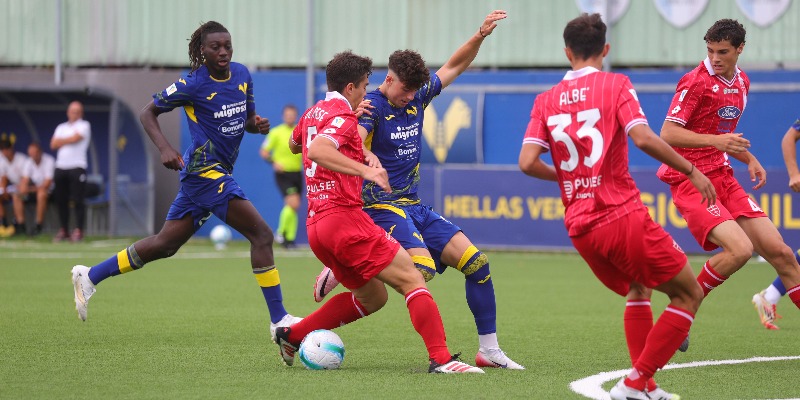 Associazione Calcio Monza S.p.A.