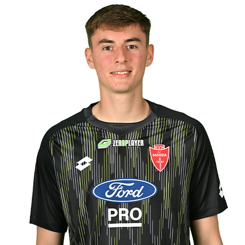 Aljaz Strajnar