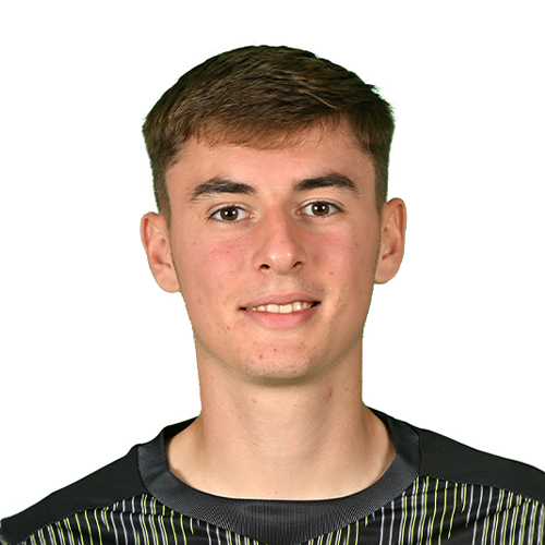 Aljaz Strajnar