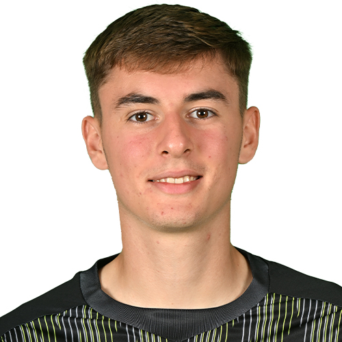 Aljaz Strajnar